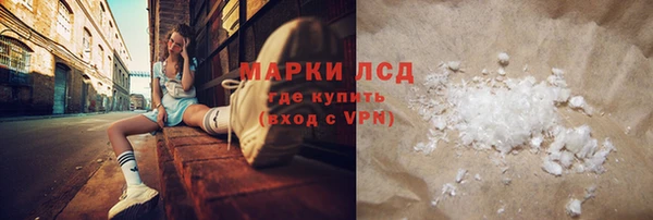 гашик Аркадак