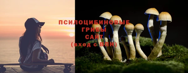 гашик Аркадак