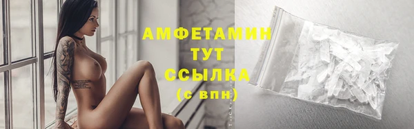 гашик Аркадак