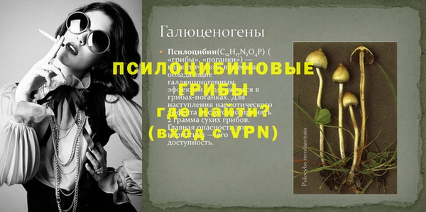 гашик Аркадак