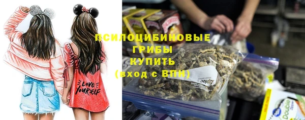 гашик Аркадак