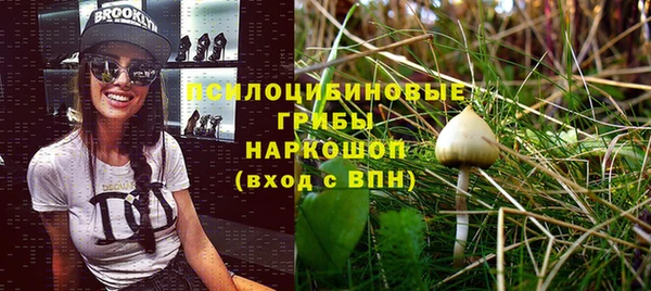 мескалин Арсеньев