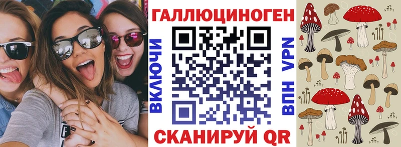 ОМГ ОМГ зеркало  Советская Гавань  Галлюциногенные грибы Psilocybine cubensis 